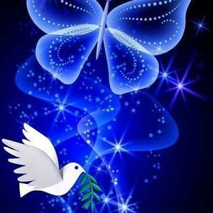 Meet your Posher, Lydia